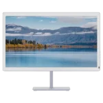 bigme-b251-pro