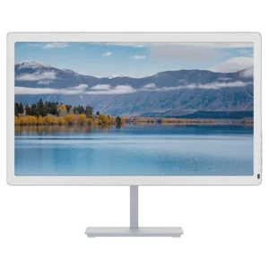 bigme-b251-pro