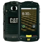 cat-b10