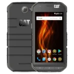 cat-s31