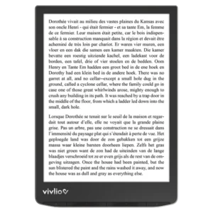 vivlio-inkpad-4